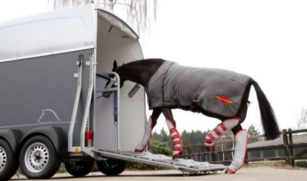 Transporter son cheval : ce que vous devez savoir